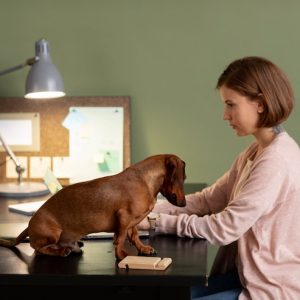 Complete Veterinary Mastery