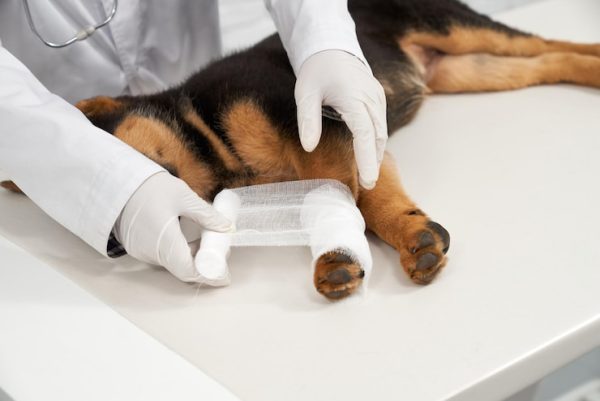 Surgical Techniques Essentials