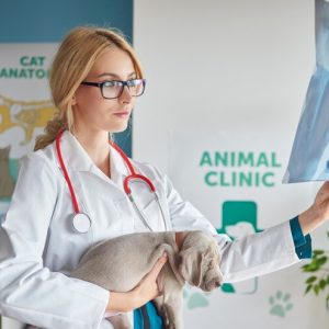Clinic Management Starter Kit