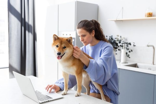 Veterinary Care Basics